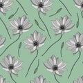 Modern floral pattern. Wildflowers pattern. Light green background, white flowers. Adonis, Echinacea, Chamomile. Vector Royalty Free Stock Photo