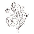 Modern flowers drawing and sketch floral with line-art Isolated on white background