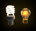 A modern fluorescent and vintage incandescent light bulb side by Royalty Free Stock Photo