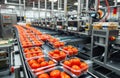 Modern food factory automated line processes tomatoes. Rows of machines package fresh tomatoes in clear plastic containers.