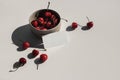 Modern food still life composition. Ceramic Bowl of red cherries on beige table background in sunlight. Blank business Royalty Free Stock Photo