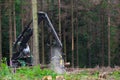 Modern forest machine when felling trees Royalty Free Stock Photo
