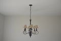 Light Fixture with Lampshades