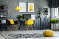 Modern furniture and yellow accents