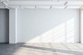 Modern gallery hall with blank wall Royalty Free Stock Photo