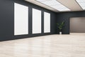 Modern gallery interior with concrete flooring, blank white mock up posters on wall, reflections, arch, decorative plant and Royalty Free Stock Photo