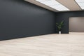 Modern gallery interior with wooden flooring, blank mock up place on wall, reflections, arch, decorative plant and bright ceiling Royalty Free Stock Photo