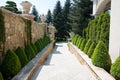 Modern garden design with box trees bushes Royalty Free Stock Photo