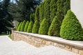 Modern garden design with box trees bushes Royalty Free Stock Photo