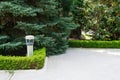 Modern garden design with box trees bushes and plants near the path. Landscaping and design concept Royalty Free Stock Photo