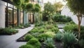 Modern garden full od green plants.