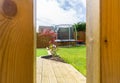 Modern garden with a new Planted Lawn from a Child`s Eye view.