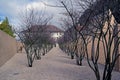 Modern garden in Vaduz, Liechtenstein