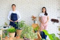 Modern gardeners stand smile at each other. Behind white brick wall. Surround decorative plants in house. Space to put letters.