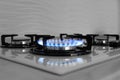 Modern gas cooktop with burning blue flame in kitchen