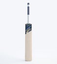 Modern Generic Brand Cricket Bat