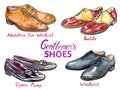 Modern gentlemen`s shoes collection: medallion toe wholecut, saddle, opera pump, wholecut