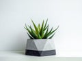 Modern geometric concrete planter. Beautiful concrete pot