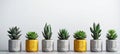 Modern Geometric Concrete Planters with Succulent Plants.