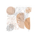 Modern geometric natural rounded shapes, grunge tropical leaf, flower line art, grain texture in 80s, 90s minimal style