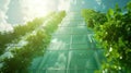 Green Building and Sustainable Architecture with Plants on Facade and Glass Windows Royalty Free Stock Photo