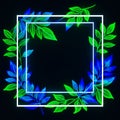 Modern glowing leaf frame design perfect for dynamic digital banners and tech projects. Royalty Free Stock Photo