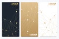 Modern golden set of vector flyer, banners. Modern stylish polygonal pattern with connected line and dots. Molecule and