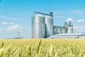 Modern grain elevator in a green wheat field