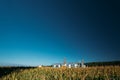 Modern Granary, Grain-drying Complex, Commercial Grain Or Seed Silos In Sunny Summer Rural Landscape. Corn Dryer Silos Royalty Free Stock Photo