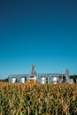 Modern Granary, Grain-drying Complex, Commercial Grain Or Seed Silos In Sunny Summer Rural Landscape. Corn Dryer Silos Royalty Free Stock Photo