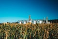 Modern Granary, Grain-drying Complex, Commercial Grain Or Seed Silos In Sunny Summer Rural Landscape. Corn Dryer Silos Royalty Free Stock Photo