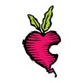 Modern graphic eps illustration of a Beetroot icon