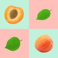 Modern graphical food background with apricot.