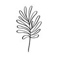 Modern grass leaf vector abstrac illustration. Black and white line art style. Isolated Exotic jungle contemporary