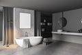 Modern gray bathroom corner with tub, poster and sink Royalty Free Stock Photo