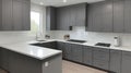 Modern gray kitchen features dark gray flat front cabinets paired Royalty Free Stock Photo