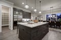 Modern gray kitchen features dark gray cabinetry Royalty Free Stock Photo