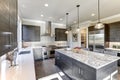 Modern gray kitchen features dark gray flat front cabinets Royalty Free Stock Photo
