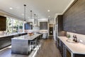 Modern gray kitchen features dark gray flat front cabinets