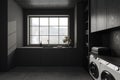 Modern gray laundry room interior