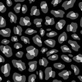 Modern grayscale seamless leopard print pattern with large white and gray spots on black Royalty Free Stock Photo