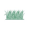 Green Grass Border Clipart