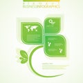 Modern green infographic design. Vector