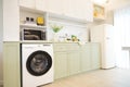Modern green kitchen interior with washing machine and microwave. Royalty Free Stock Photo