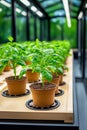 Within a modern greenhouse, automated sensors meticulously track the growth of various experimental crops, showcasing a