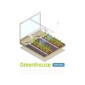Smart Greenhouse Isometric Composition