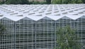 Modern greenhouse complex roof structure made of glass and metal, top view. Large modern greenhouse complex. Royalty Free Stock Photo