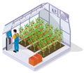 Modern Greenhouse Isometric Concept