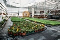 Modern greenhouse nursery or glasshouse, industrial horticulture, cultivation of seedlings of ornamental plants and flowers