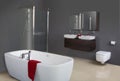 Modern Grey Bathroom Royalty Free Stock Photo